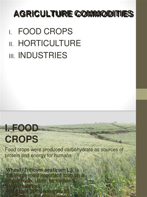 Commodity Examples 的图像结果