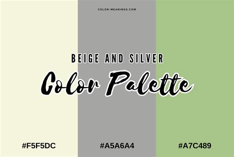 Silver Color Partner 的图像结果