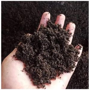 greenfarm XCIV- Vermicompost Potting Mixture for Plants and Trees , 2 ...