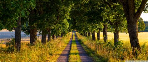 Summer Country Road, Trees, Landscape, Nature Photography 4K UHD Wallpaper for UltraHD Desktop ...