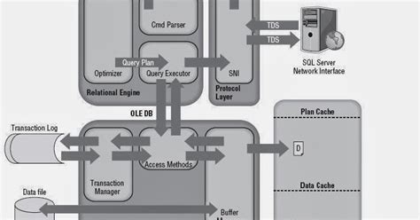 SQL Server Database Architecture 的图像结果
