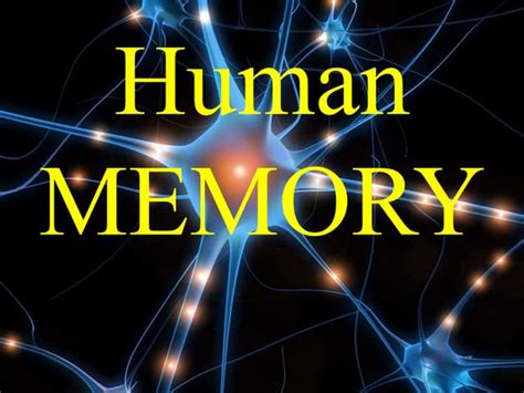 Image result for Human Memory and Structured Objects