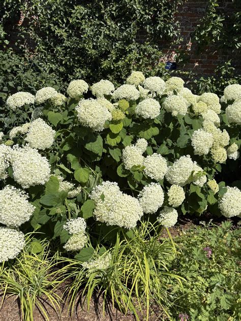 How to Set Up Your Facebook Page 的图像结果