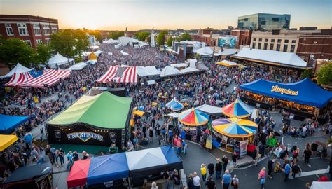 Image result for The Springfields Live