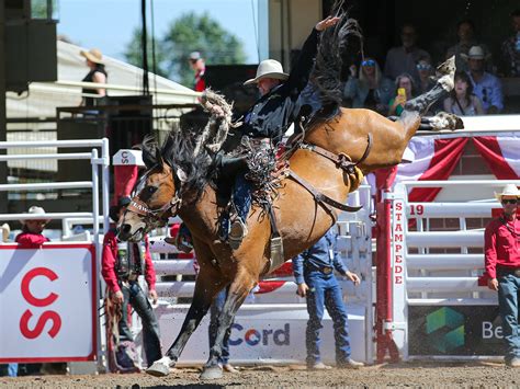 Calgary Rodeo 的图像结果