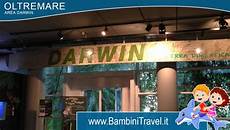 ingresso oltremare oltremare riccione prezzi ingresso hotel con bambino gratis ingresso oltremare oltremare riccione prezzi ingresso hotel con bambino gratis
