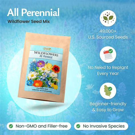 Wildflower Seeds and Mixes | Created By Nature