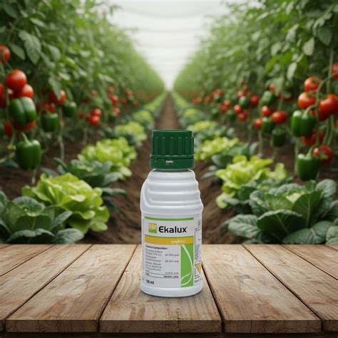 Syngenta Ekalux (Quinalphos 25% EC) Insecticide – Agriplex