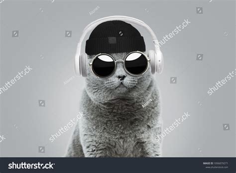 Cat With Headphones