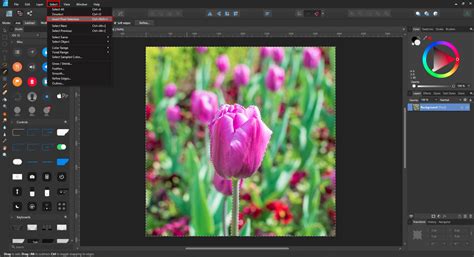 Affinity Designer Selections 的图像结果