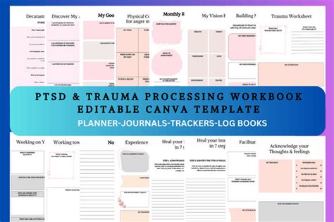 Image result for Trauma Processing PTSD