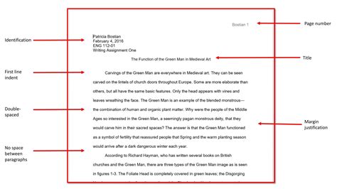 Example of Essay Format 的图像结果