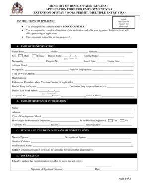 Guyana Employment Visa Application Form - Blank Fillable Template ...