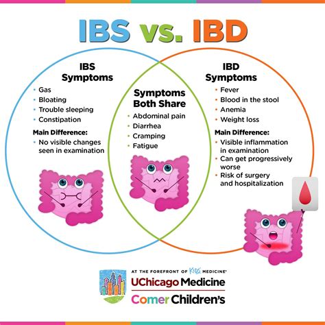 Cat Ibs Vs Ibd at Dustin Richards blog