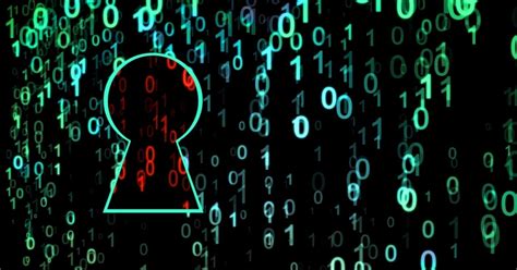 Image result for Vulnerabilities Developer