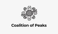 Image result for Pattern Task Card Grade 2