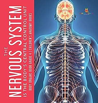 Buy The Nervous System Is the Body's Central Control Unit Body Organs ...