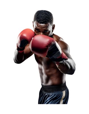 Boxing PNG 的图像结果