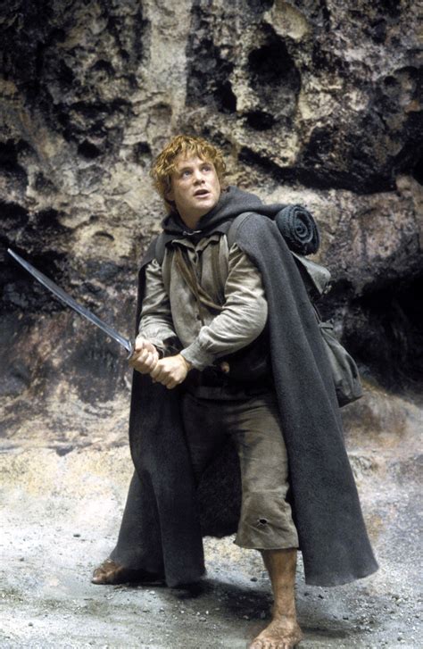Sam | The Lord of the Rings: The Return of the King | Samwise gamgee ...