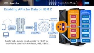 IBM Data Virtualization Manager 的图像结果