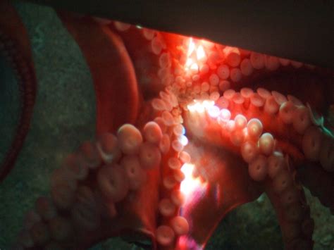 Image result for Perfect GUI Layout for Simple Fill Up Forms in Java Swing