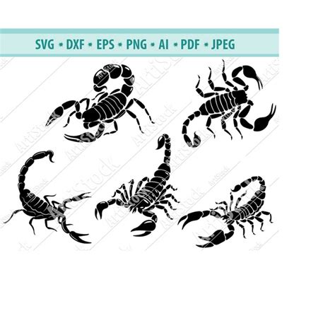 Scorpions SVG, Scorpion cut file, Scorpion clip art, Scorpio | Inspire ...