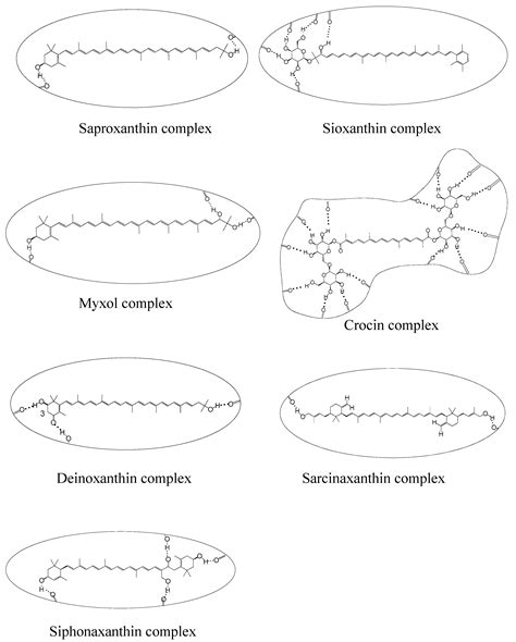 The Endless World of Carotenoids—Structural, Chemical and Biological ...