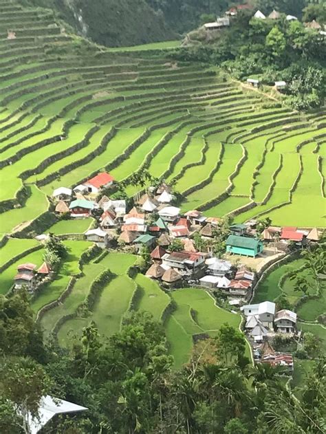 RICE HOMESTAY (Banaue) - Lodge Reviews, Photos, Rate Comparison ...