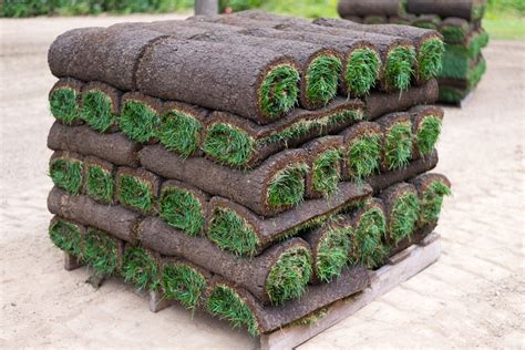 Sod Installation: How To Find Sod Near Me and Grow Grass (2025) | Today ...