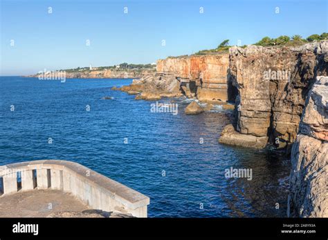 Image result for Code Search Header HTML