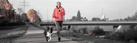 Do Exercise 的图像结果