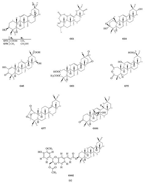 Pentacyclic Triterpenoids Isolated from Celastraceae: A Focus in the ...