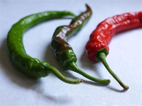 cowhorn pepper recipes