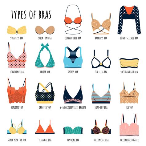 Types of bras. Big vector bundle of lingerie. Set of underwear ...