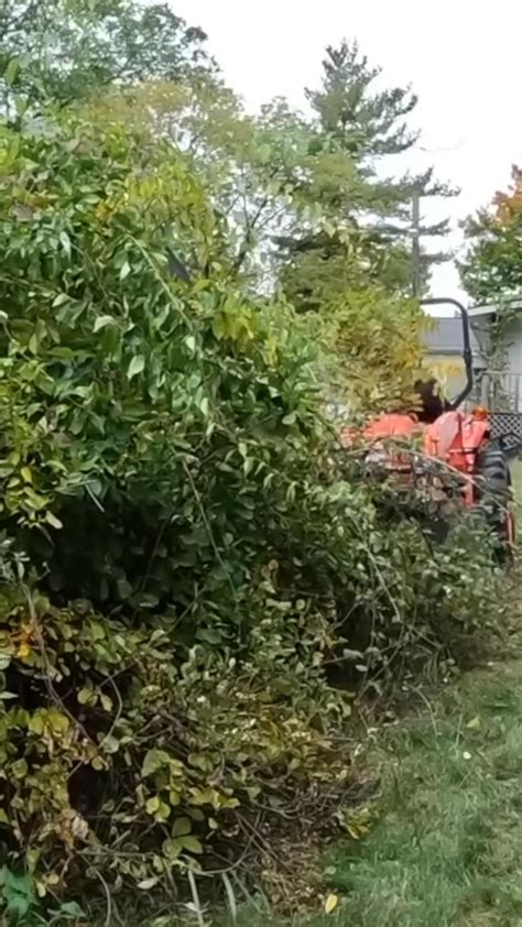 Instagram video by Outdoors with Erik • Feb 18, 2025 at 9:27 AM