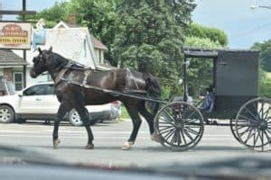 Do the Amish Drink Alcohol? - Amish Heritage