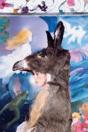 Donkey Skin - posters, covers, wallpapers