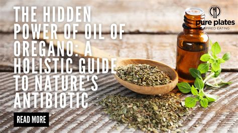Medicinal Uses Of Oregano: Nature’s Powerful Natural Antibiotic