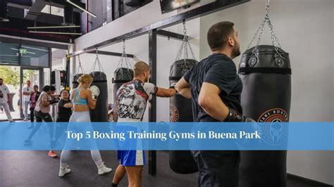 Boxing Training Ground 的图像结果
