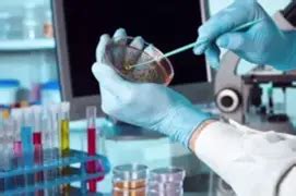 Our Services | Best Diagnostic Centre Near Me - Sprint Diagnostics