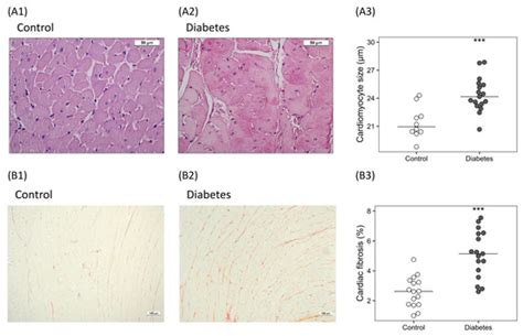 Role of Klotho and AGE/RAGE-Wnt/β-Catenin Signalling Pathway on the ...