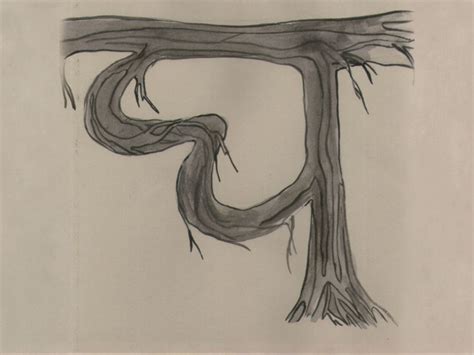 D'source Banyan Tree - Letterforms | Transformations | D'Source Digital ...