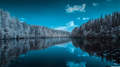 Image result for Syntax of If Else in Python