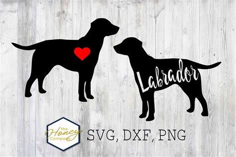 Image result for Lab DXF
