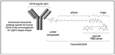 Loncastuximab Tesirine in the Treatment of Relapsed or Refractory ...