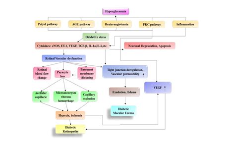 Prevention and treatment of ocular complications