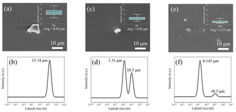 Effect of the Two-Dimensional Magnetostrictive Fillers of CoFe2O4 ...