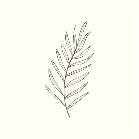 Ilustracja roślin | Darmowy Wektor