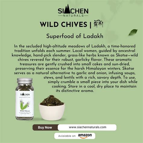 Wild Chives (Skotse) from Ladakh | Himalayan Herbs – siachen naturals