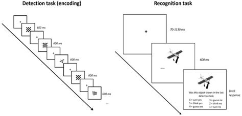 Bridging Neuroscience and Robotics: Spiking Neural Networks in Action